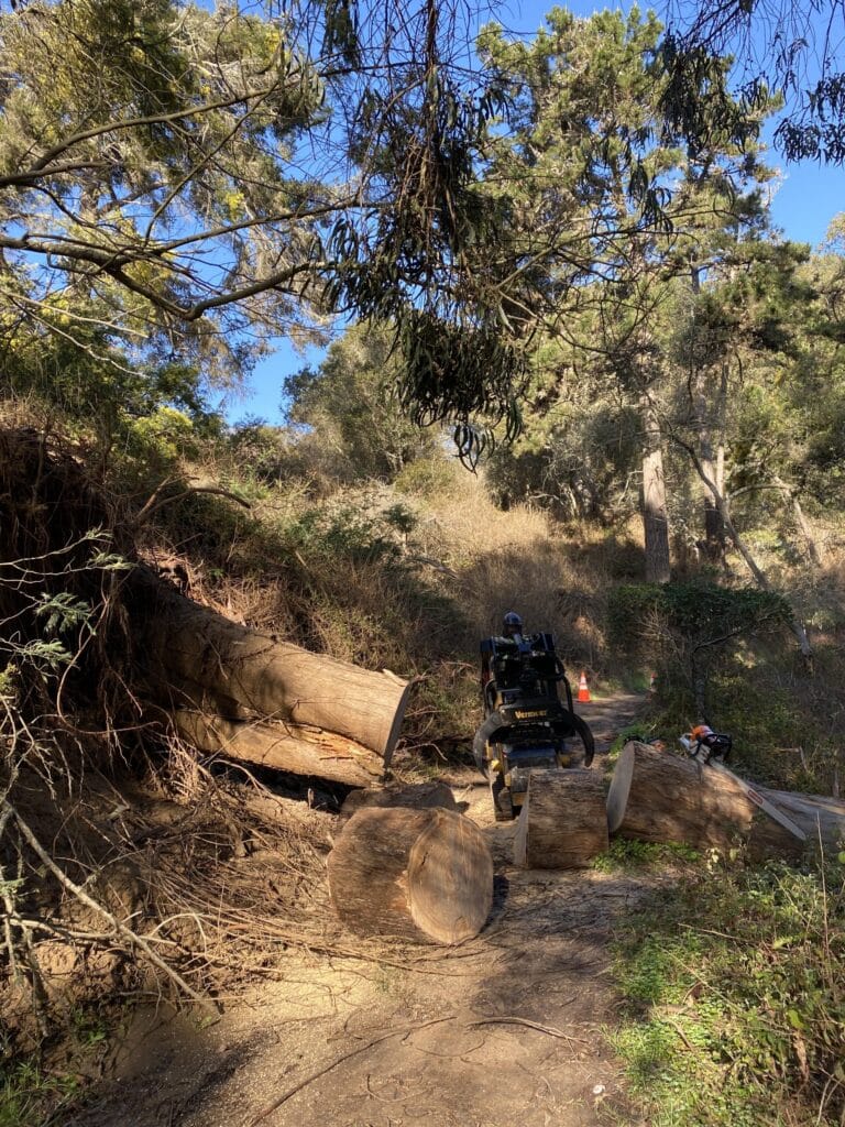 Adney Tree Service La Selva Beach Trail Cleaning