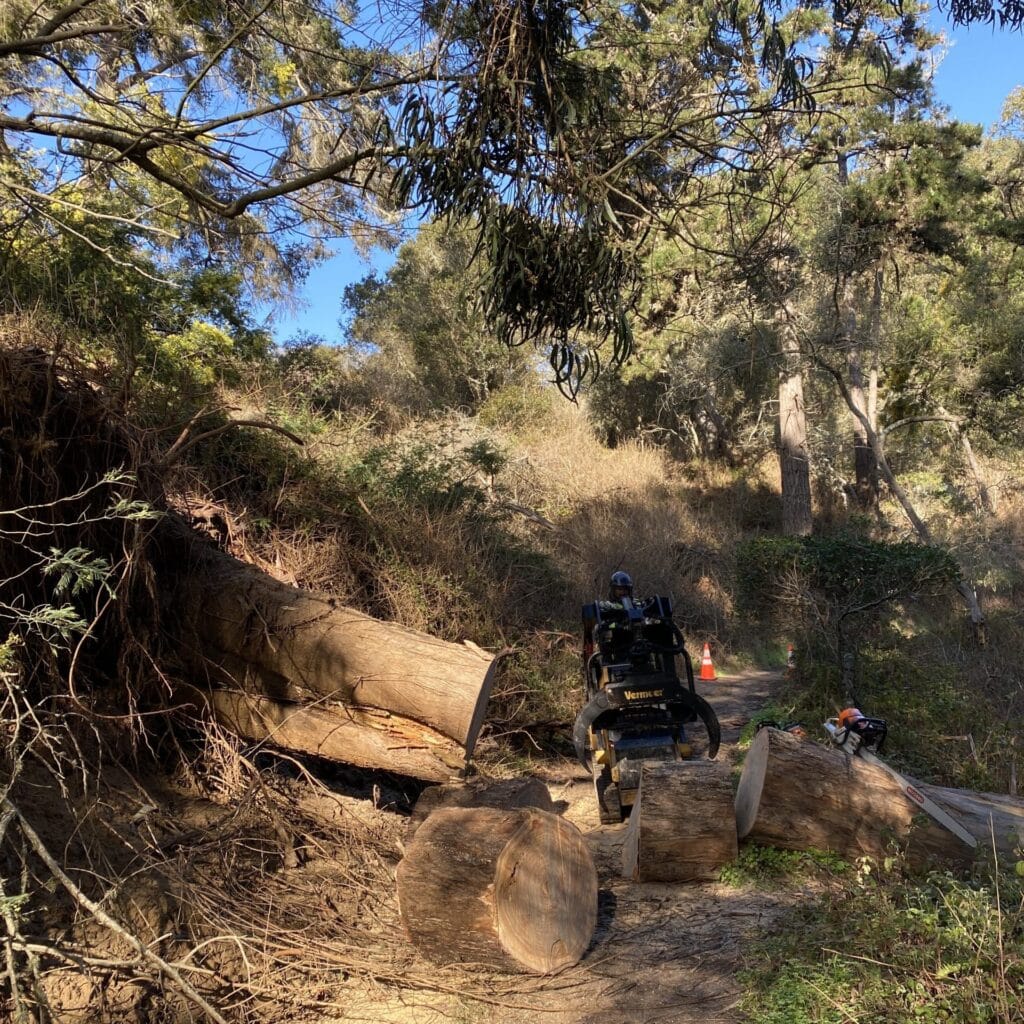 Adney Tree Service La Selva Beach Trail Cleaning Square