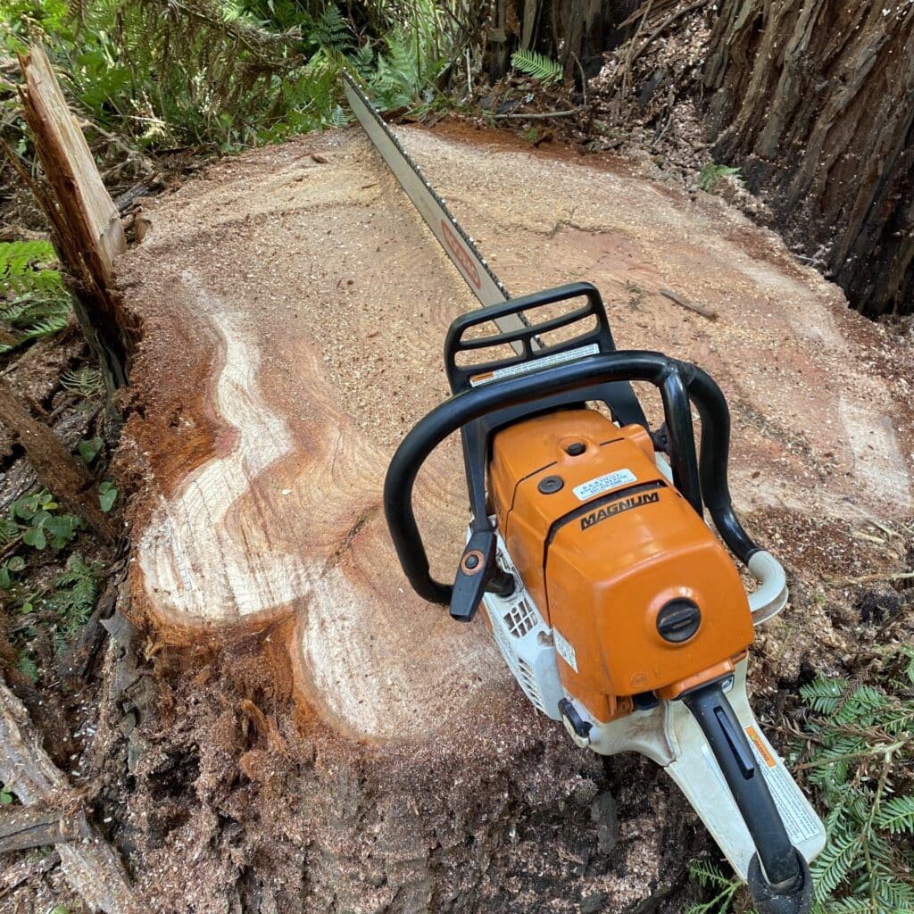 Adney Tree Service Aptos California Redwood Removal Square