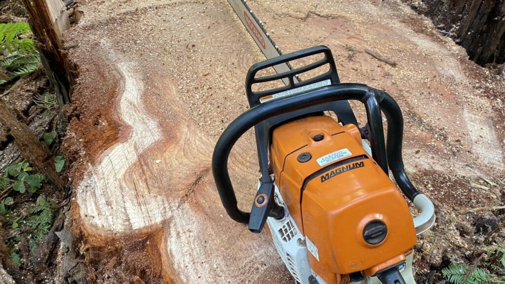 Adney Tree Service Chainsaw on Tree Stump