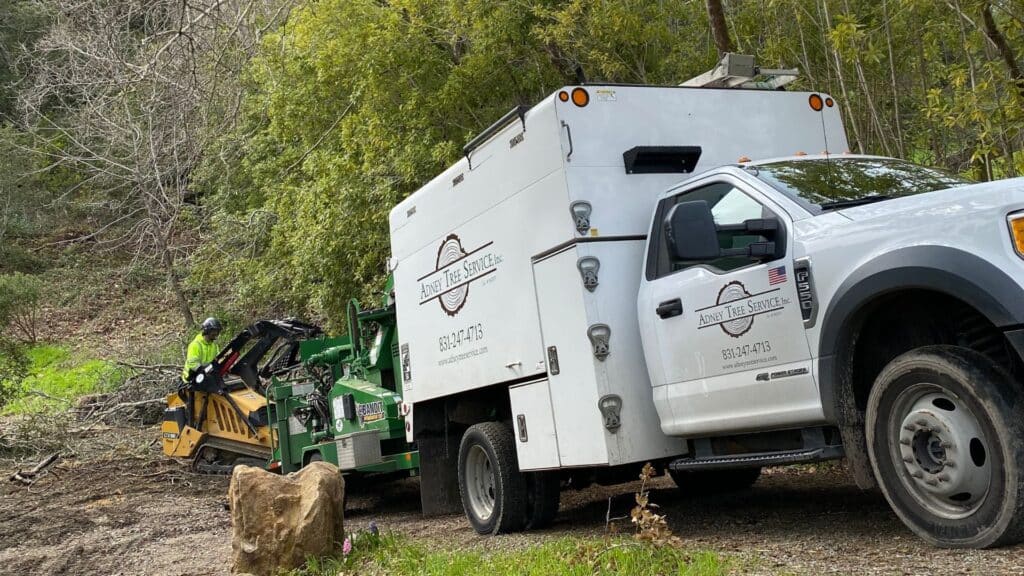 Adney Tree Service Certified Arborist Tree Care