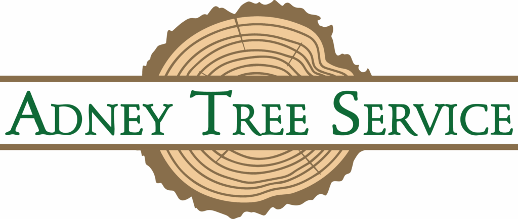 Adney Tree Service Color web
