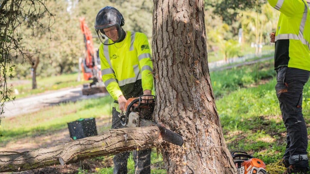 Adney Tree Service Professional Tree Pruning
