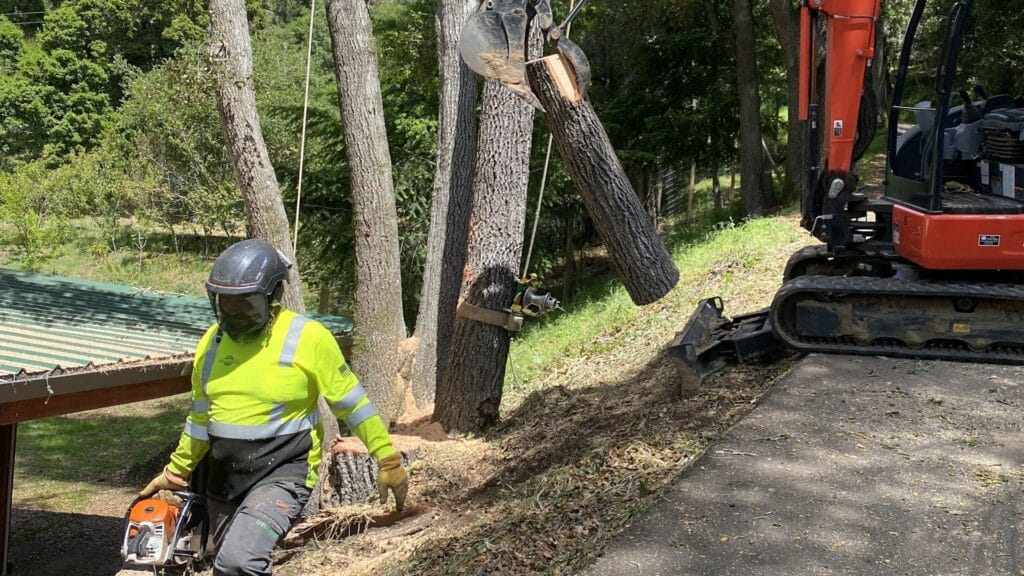 Adney Tree Service Professional Tree Removal