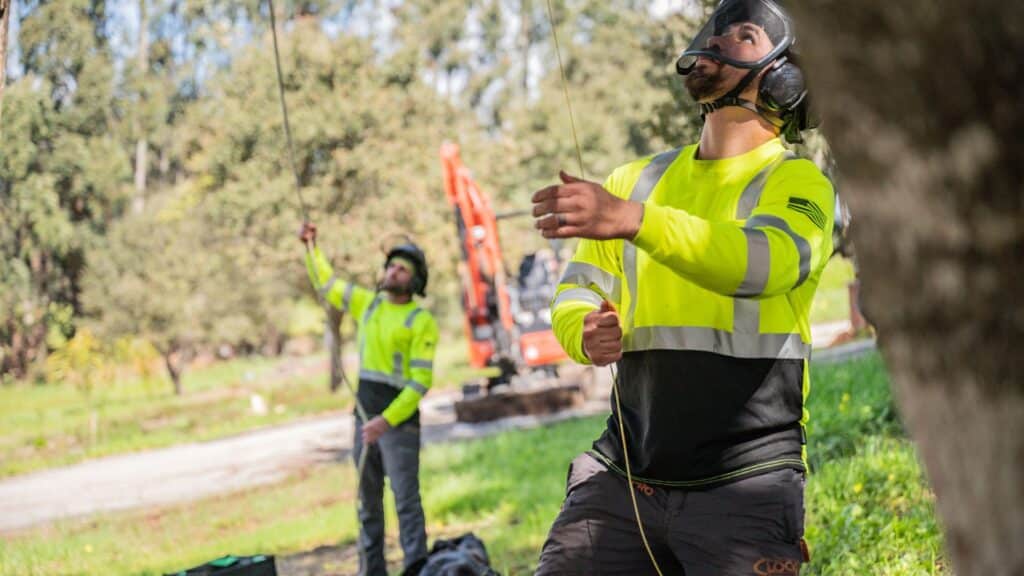 Adney Tree Service Tree Trimming and Pruning