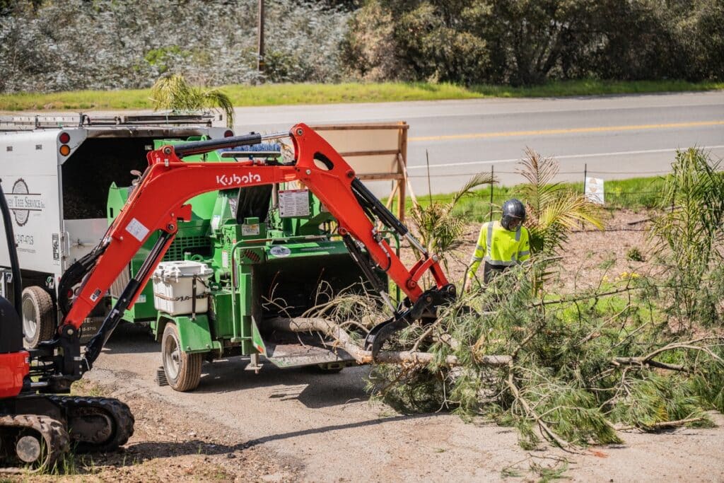 Arborist Assessments & Evaluations Adney Tree Service California Heavy Equipment