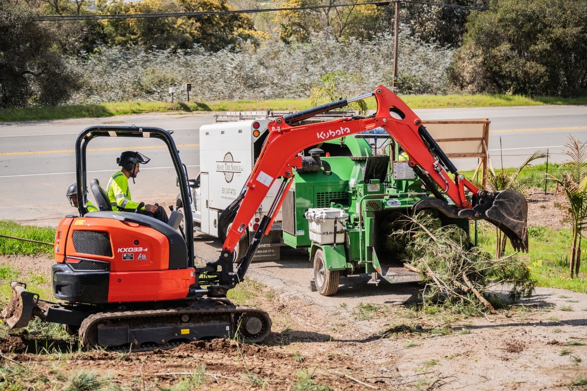Commercial Tree Care Adney Tree Service California