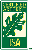 ISA Certified Arborist Adney Tree Service