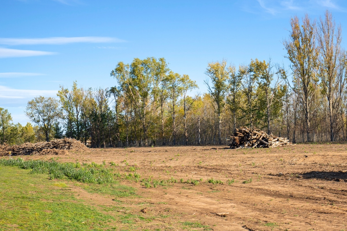 Land Clearing Adney Tree Service California