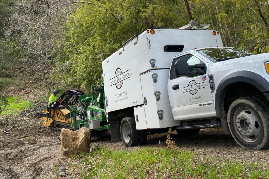 Professional Tree Care Services Adney Tree Service California