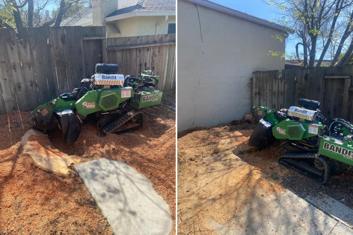 Honest Stump Grinding in Aptos, CA | Adney Tree Service | Professional  Stump Removal | Yard Cleanup | Tree Root Removal | Safe Efficient Grinding  Solutions | Trusted Local Tree Experts