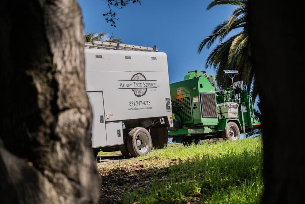 Tree Care Service Trucks Adney Tree Service California