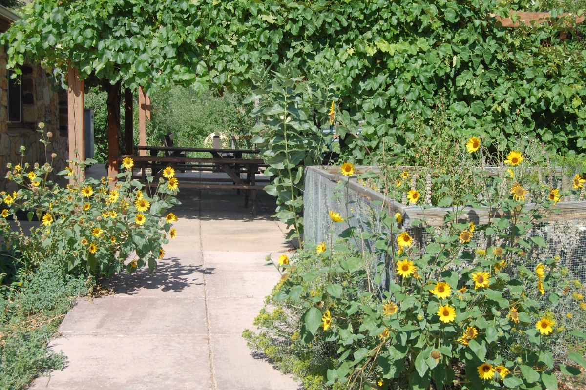 Trim Prune Restricted Access Adney Tree Service California