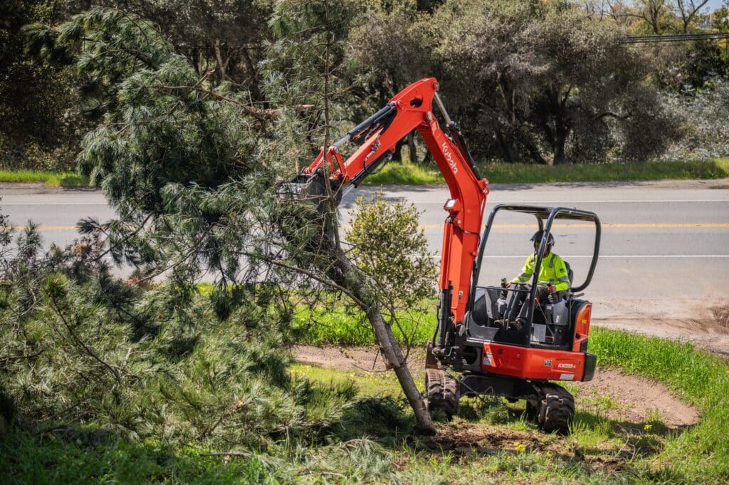 Adney Tree Service Aromas California Pine Removal 21