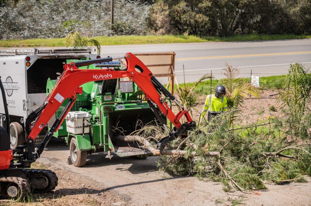 Adney Tree Service Aromas California Pine Removal 23
