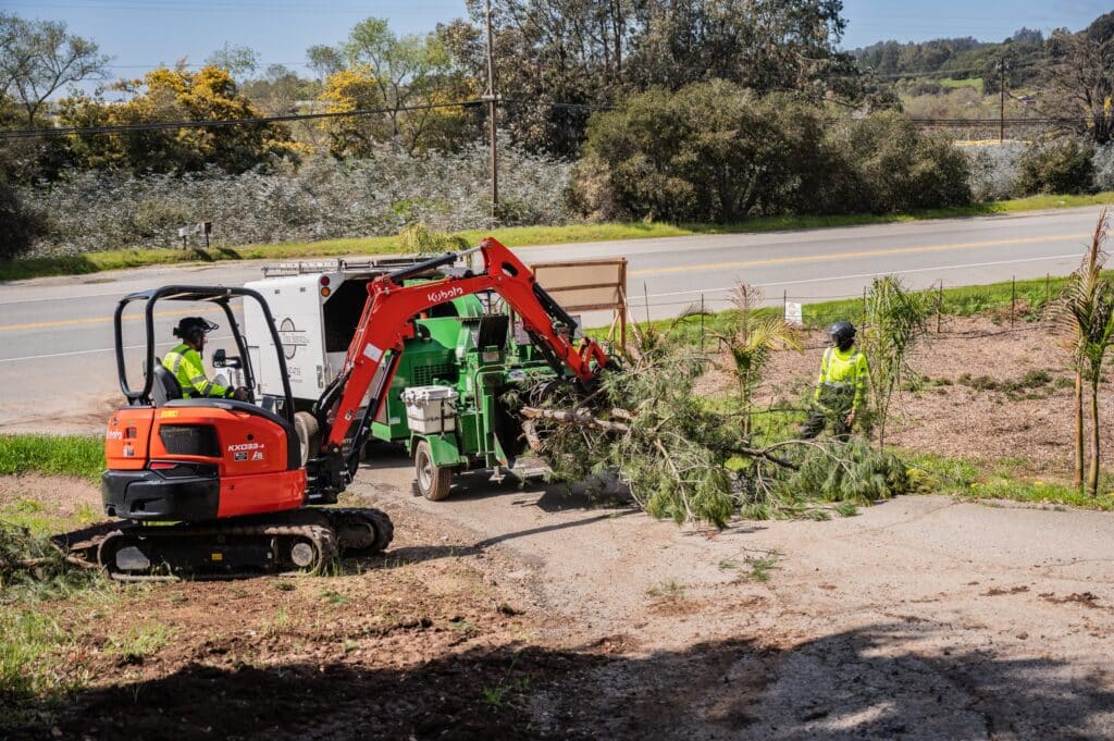 Adney Tree Service Aromas California Pine Removal 24