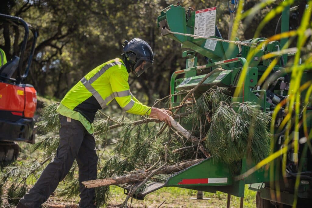 Adney Tree Service Aromas California Pine Removal 27