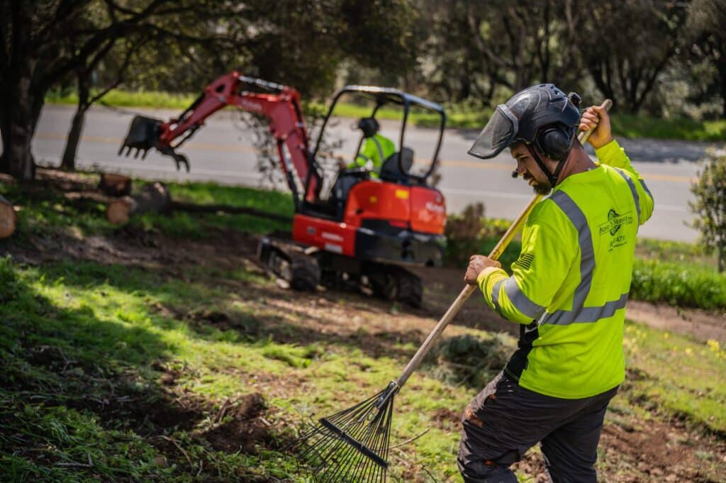 Adney Tree Service Aromas California Pine Removal 34