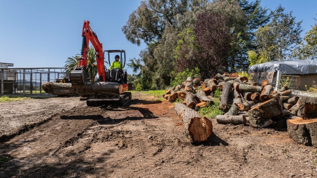 Adney Tree Service Aromas California Pine Removal 39