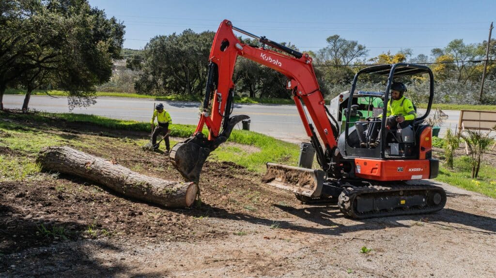 Adney Tree Service Aromas California Pine Removal 40