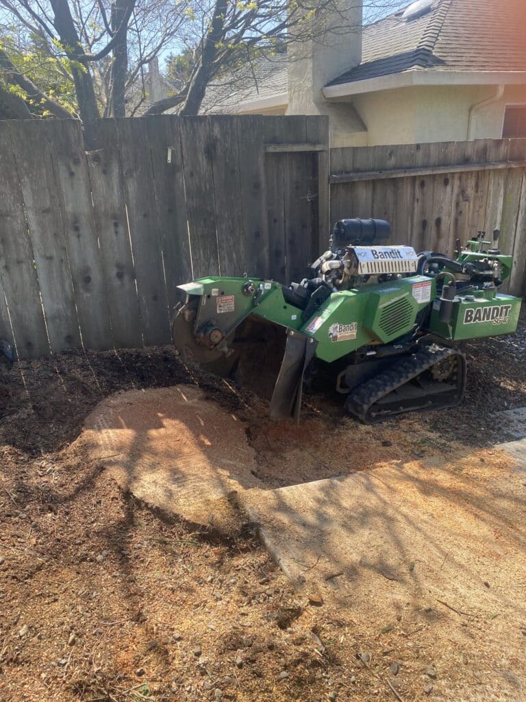 Adney Tree Service Cedar Crane Removal Santa Cruz California 4