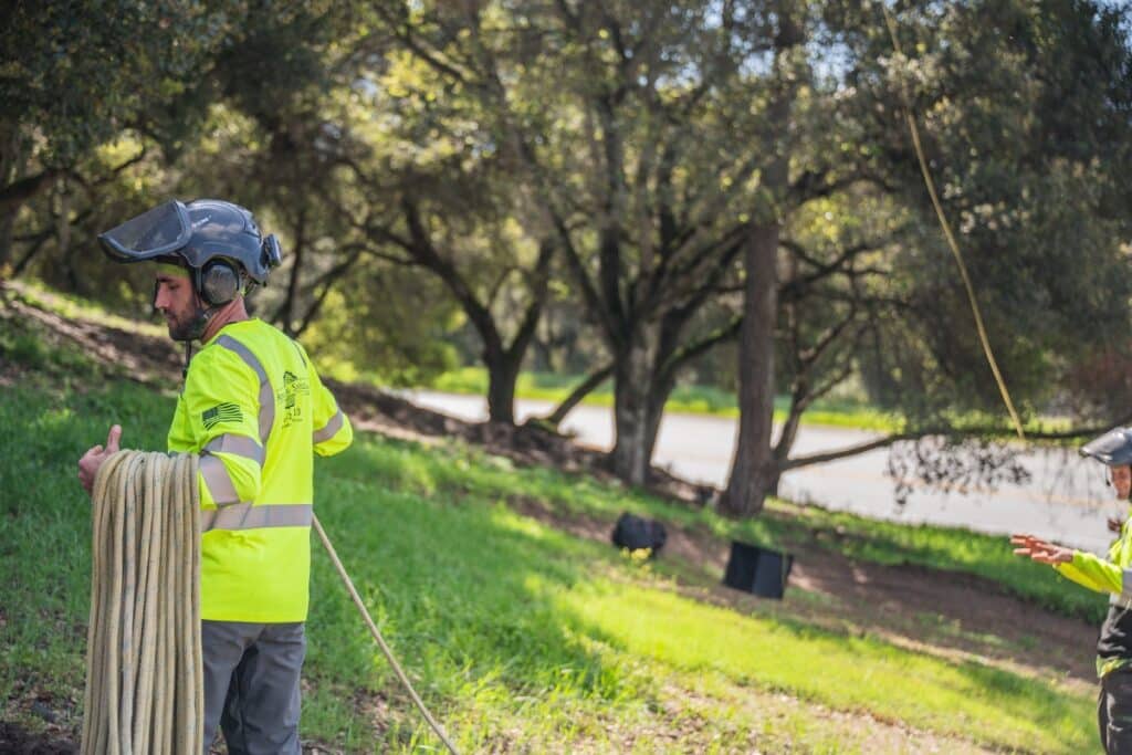Commercial Tree Care Adney Tree Service California Difference