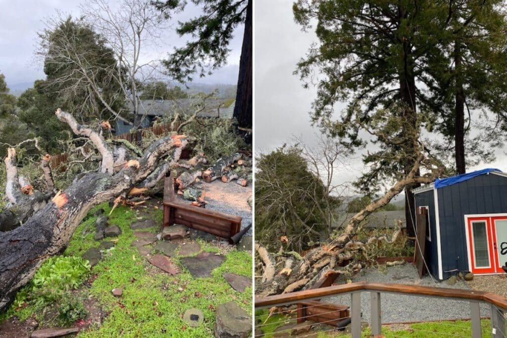 Emergency Tree Service Storm Damage Adney Tree Service California