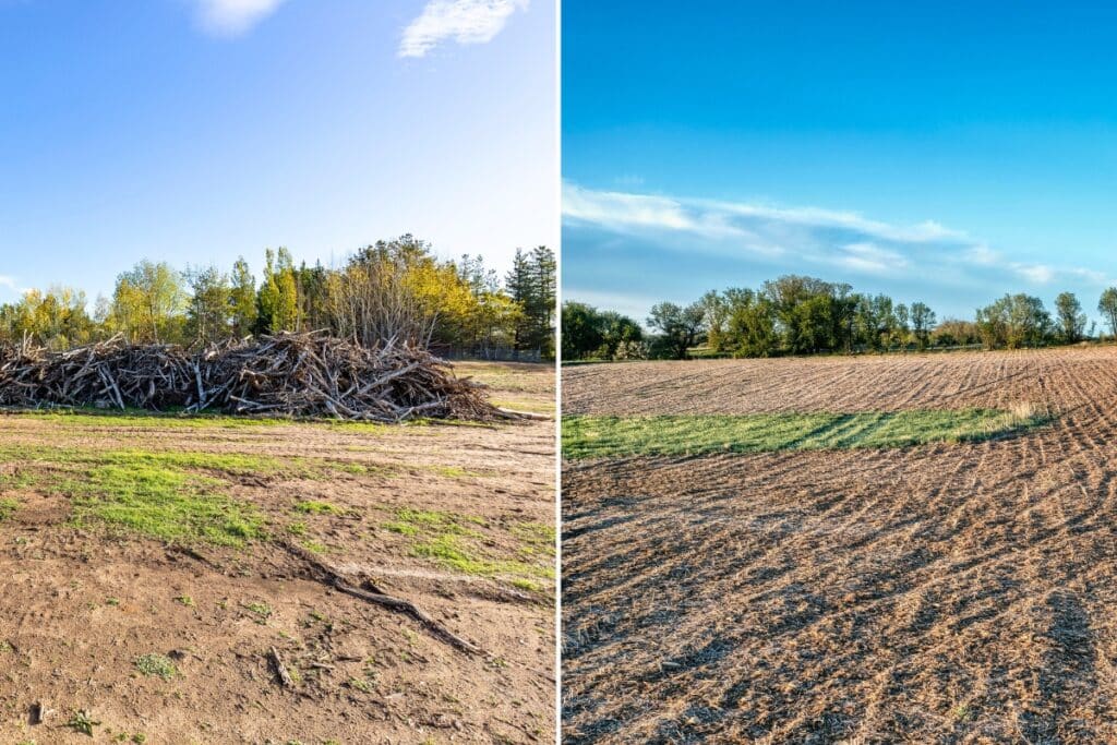 Lot Clearing & Site Work Adney Tree Service California Improvements