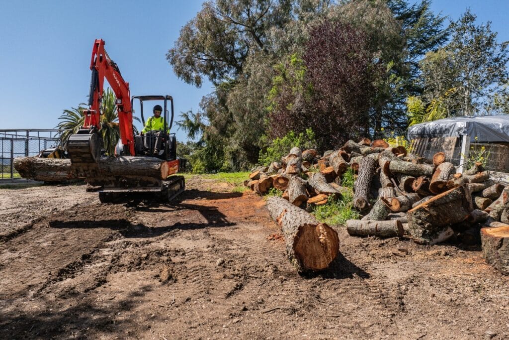 Lot Clearing & Site Work Adney Tree Service California Removal