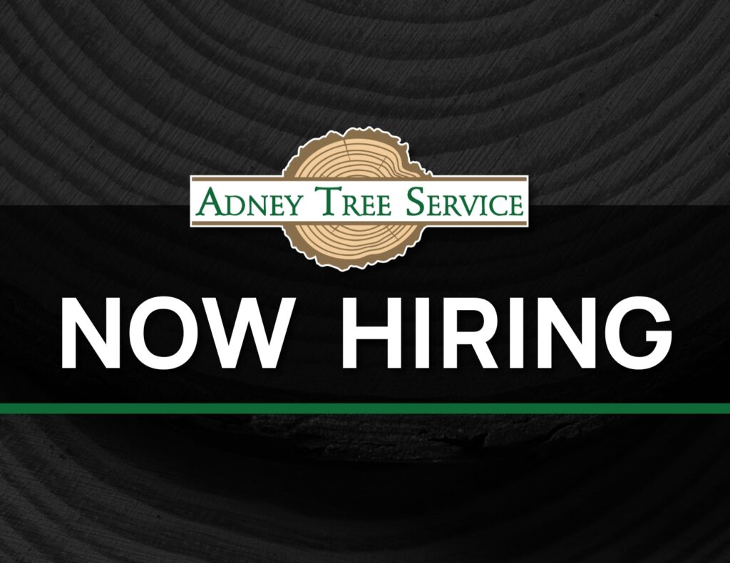 Now Hiring Careers Job Post Adney Tree Service