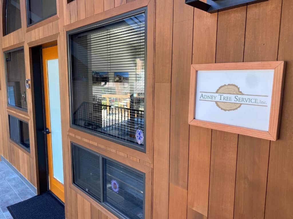 Local Tree Care Professionals The Adney Tree Service Story​ Central Coast California