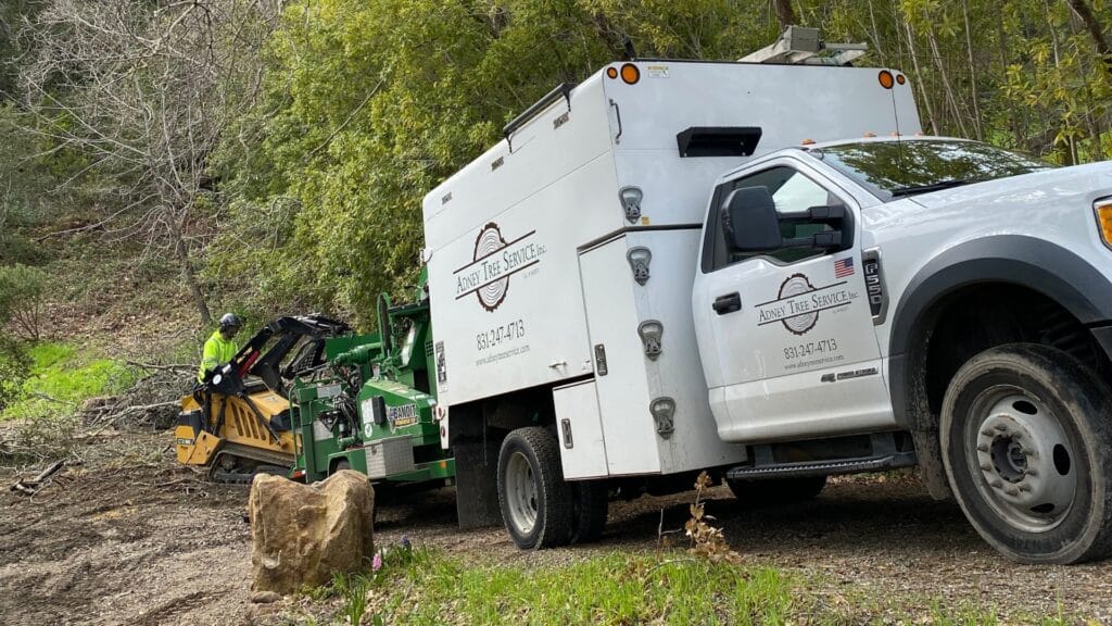 How Wildfire Risk Affects Your Tree Care Decisions in Santa Cruz County Defensible Space Zones Adney Tree Service California